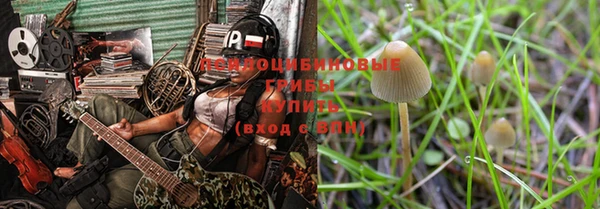 сатива Вязники