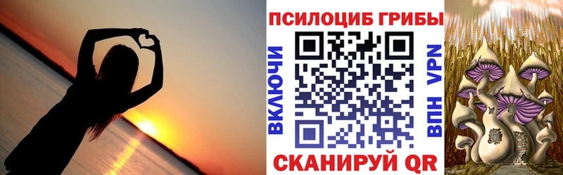 Галлюциногенные грибы MAGIC MUSHROOMS  Новочебоксарск 